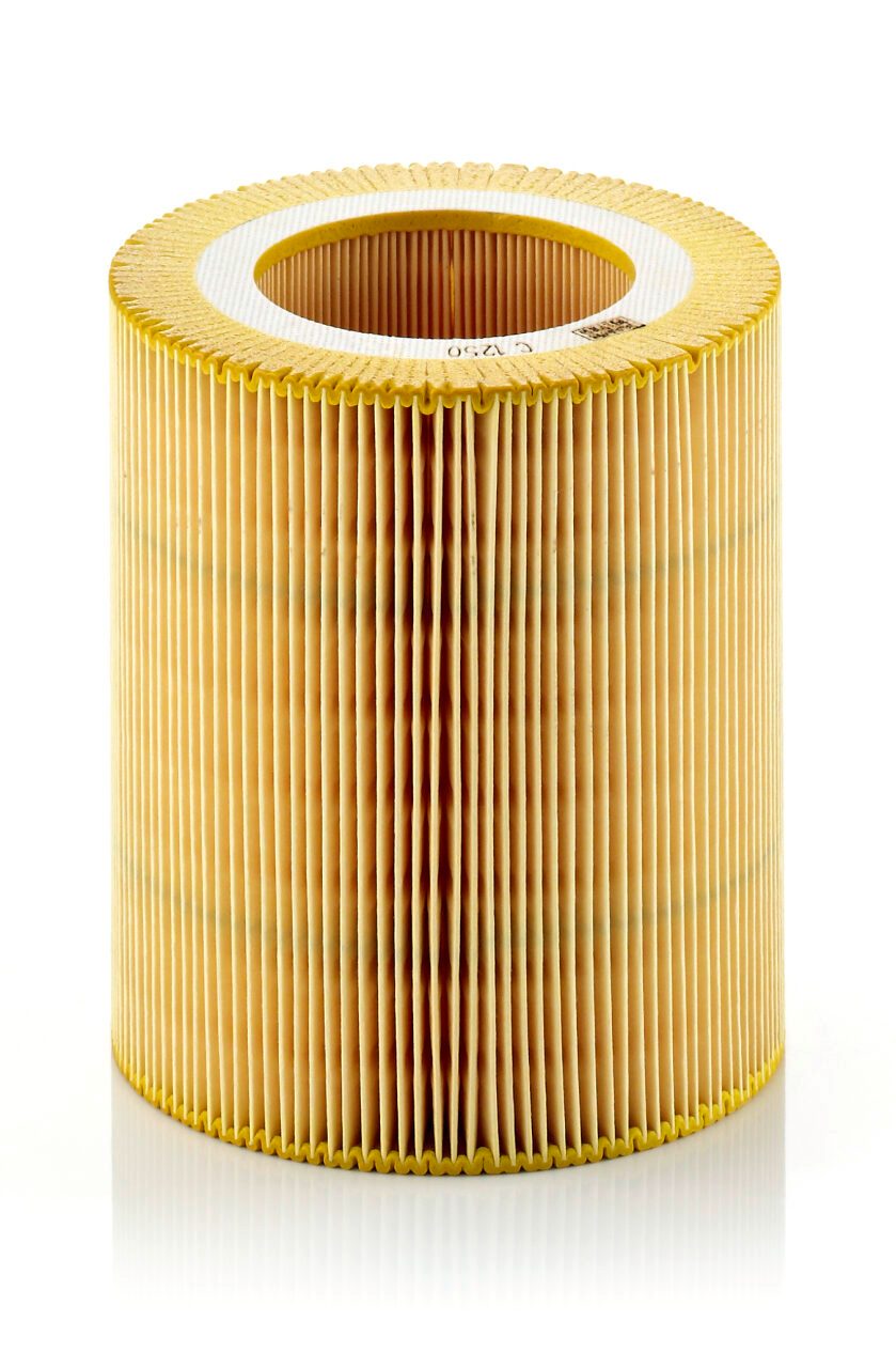 MANN-FILTER C 1250 AIR FILTER